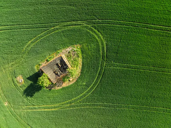 Hava aracı sarı tecavüz tohumlarının güzel tarlalarını görüyor. Tarlalarda köy çiftçiliği şekilleri. Sarı kolza tohumu açan bahar tarlaları, büyüyen bitkiler. Opole köyündeki tarlalar İHA 'dan.