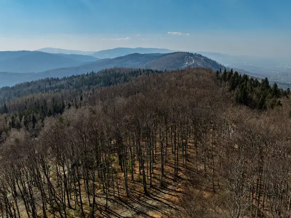 İlkbaharda Beskid Dağları 'nın hava aracı görüntüsü. Chrobacz Meadow, Little Beskids 'taki Magurka Wilkowicka Grubu' nun zirvesinde. Beskids 'da bir dağın zirvesinde çapraz
