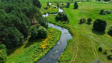 Bereketli yeşil çayırlar ve yaz doğa manzarasıyla çevrili Liswarta Nehri boyunca yüzen renkli kanoların hava aracı görüntüsü. Polonya 'da nehirde kayak yaparken. Nehirdeki kanolar.