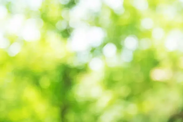 Yeşil doğal bokeh. Güzel bir bahar mevsimi. Odaklanamayan arka plan. Uzayı kopyala Bir ağacın yaprakları arasından gökyüzünün parçaları..