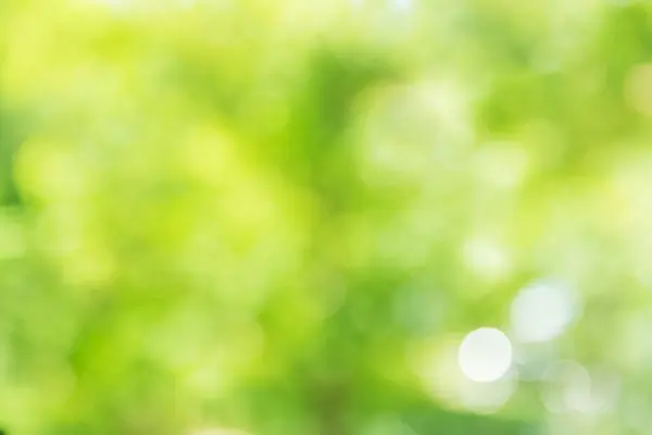 Yeşil doğal bokeh. Güzel bir bahar mevsimi. Odaklanamayan arka plan. Uzayı kopyala Doğanın tazeliği ve zenginliği..