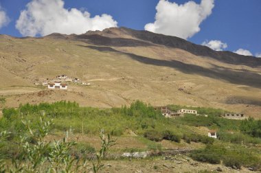 Padum, Zanskar Vadisi, Ladakh, Hindistan 'daki kuru dağdaki güzel bir köy manzarası.. 