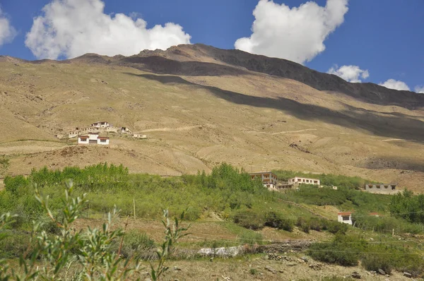 Hermosa Vista Pueblo Verde Montaña Seca Padum Valle Zanskar Ladakh —  Fotos de Stock