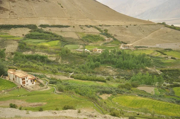 Scenery Beautiful Small Green Village Padum Zanskar Valley Ladakh India — Stock Photo, Image