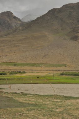 Padum, Zanskar Vadisi, Ladakh, INDIA 'da gölün yanında yeşil bir tarlası olan kuru dağın akşam manzarası 