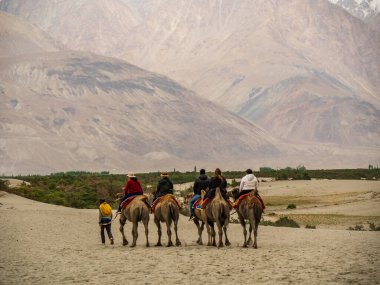 Ladakh, Hindistan - 18 Haziran 2022: Hunder Hindistan 'ın Leh ilçesine bağlı Kum tepeleri ve Bactrian develeri ile ünlü bir köydür. Turistler çifte hörgüçlü develere binmeyi severler..