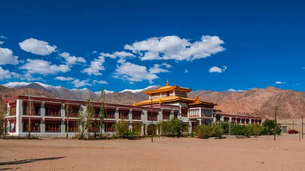Ladakh Hindistan Haziran 2022 Leh Yakınlarındaki Geleneksel Tibet Veya Ladakhi — Stok fotoğraf