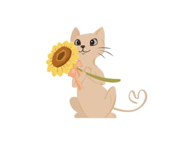 Cute Cat and flower Vector illustration. Sunflower kitty. love kitten isolated On White Background.