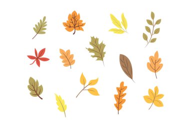 Beyaz arkaplanda Renkli Yapraklar, Düz vektör çizimi, Düz izole vektör sembolleri seti.