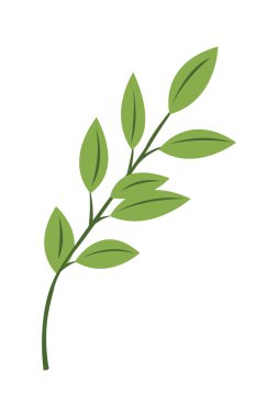 Yeşil, Simge Vektörü illüstrasyonunu bırakır. Doğa Yaprağı dekoratif sembolü. Ağaçların ve bitkilerin yaprakları beyaz arkaplanda izole edilmiş amblem..