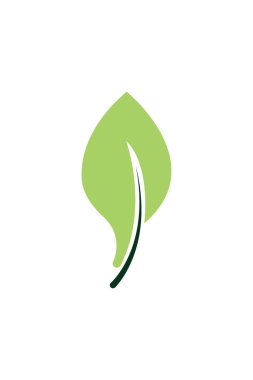 Yeşil, Simge Vektörü illüstrasyonunu bırakır. Doğa Yaprağı dekoratif sembolü. Ağaçların ve bitkilerin yaprakları beyaz arkaplanda izole edilmiş amblem..