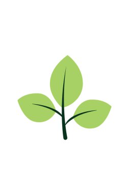 Yeşil, Simge Vektörü illüstrasyonunu bırakır. Doğa Yaprağı dekoratif sembolü. Ağaçların ve bitkilerin yaprakları beyaz arkaplanda izole edilmiş amblem..