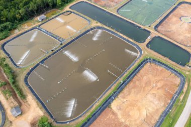 Tayland 'da karides çiftliği ve hava temizleyicisinin havadan görünüşü