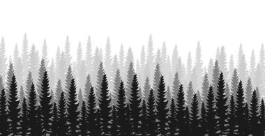 Yoğun orman manzarası, köknar ve çam ağacı doğal yeşil manzara, ağ arka planı, şablon - Vektör illüstrasyonu