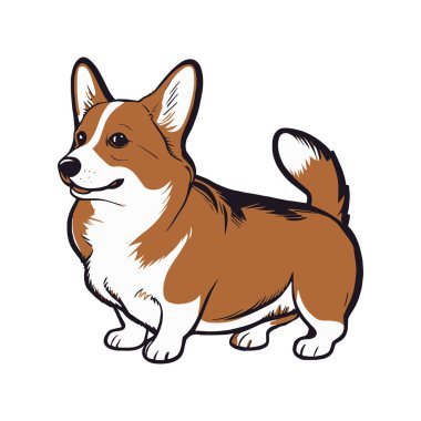 Gerçekçi köpek cins Corgi, beyaz arka planda - Vektör illüstrasyon