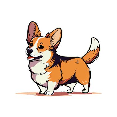 Gerçekçi köpek cins Corgi, beyaz arka planda - Vektör illüstrasyon