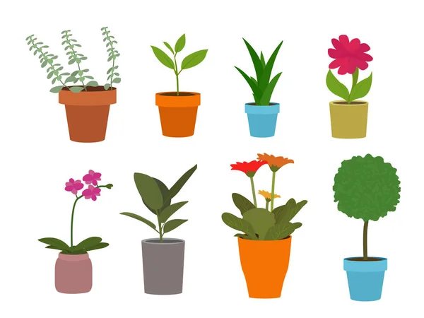 Ensemble Plantes Fleurs Pot — Image vectorielle