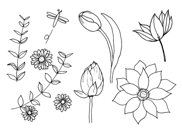 Květiny Květiny Listy Lotus Tulipán Daisy Čmáranice Ručně Kreslený Náčrt — Stockový vektor