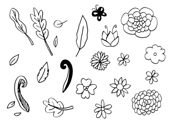 Bonito Flor Flores Folhas Doodle Mão Desenhado Isolado Fundo Branco —  Vetores de Stock