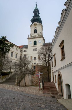 Nitra Şatosu (Slovak, Nitriansky Hrad) Slovakya 'nın Nitra şehrinde bulunan bir kaledir..