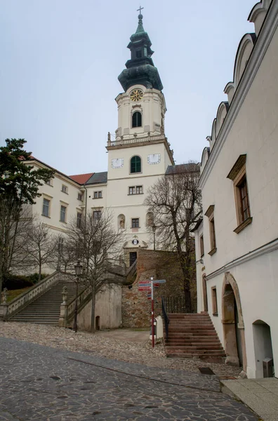 Burg Nitra Slowakisch Nitriansky Hrad Ist Ein Schloss Der Altstadt — Stockfoto
