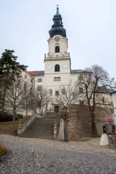 Burg Nitra Slowakisch Nitriansky Hrad Ist Ein Schloss Der Altstadt — Stockfoto
