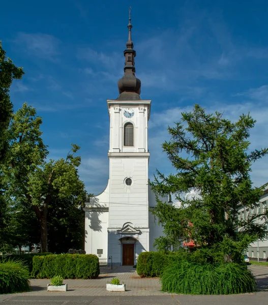 Chiesa Calvinista Nella Città Levice Estate Slovacchia — Foto Stock