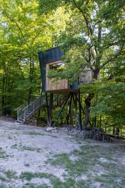 Ormandaki modern ağaç ev..