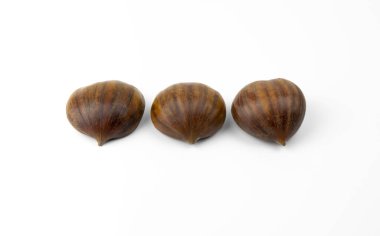 Yenilebilir kestaneler beyaz arka planda izole edilmiş. Castanea sativa, tatlı ya da İspanyol kestanesi. Yaklaş..