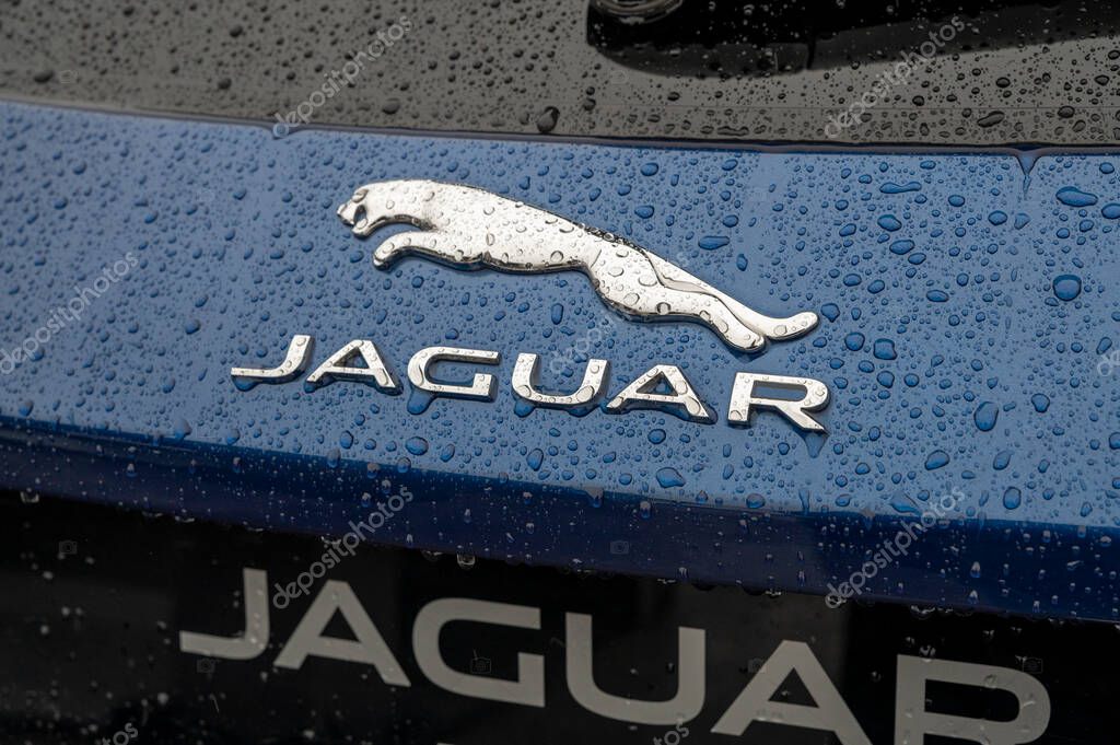 Nitra, Slovakia - October , 4, 2024 : Jaguar logo on a jaguar car. Close up. Detail.