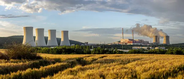 Önünde altın arpa (Hordeum vulgare) alanı bulunan nükleer enerji santrali. Nükleer enerji santrali. Soğutma kuleleri. Mochovce. Slovakya.