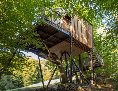 Ormandaki modern ağaç ev..