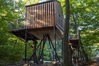 Ormandaki modern ağaç ev..