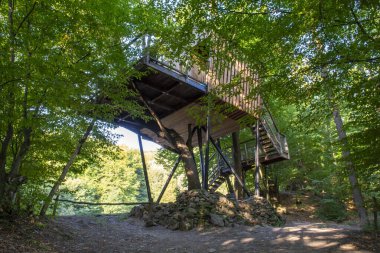 Ormandaki modern ağaç ev..