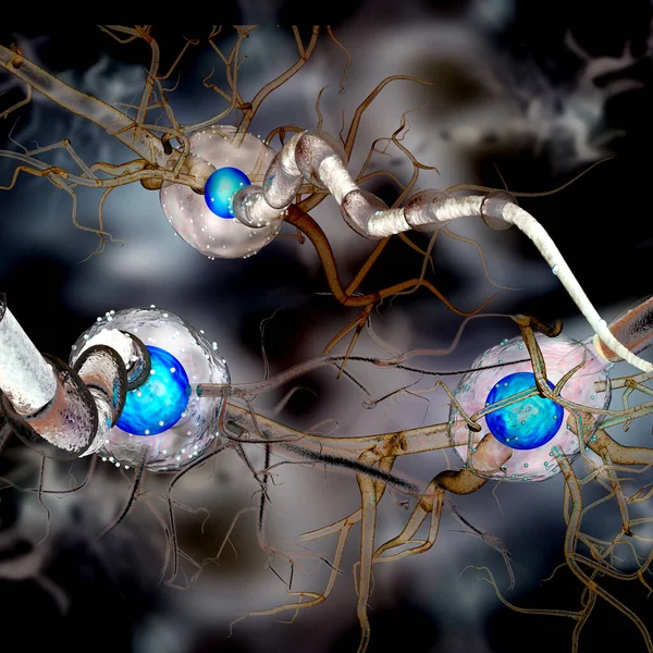 神经细胞 神经细胞 神经疾病 脑部手术 3D说明 — 图库照片#