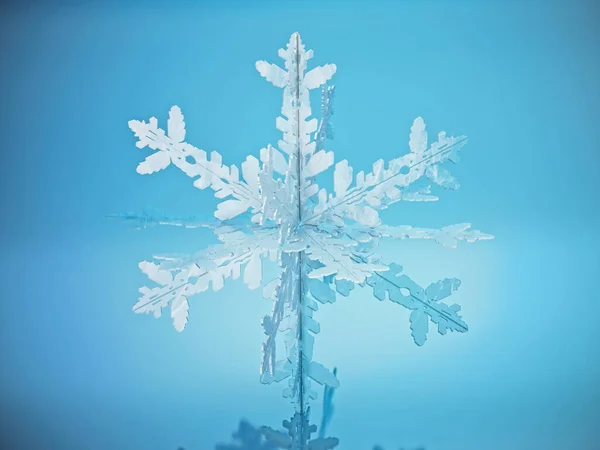 Schneeflocke Steht Auf Blauer Reflektierender Oberfläche Illustration — Stockfoto