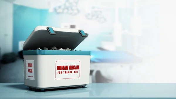 Human Organ Transport Box Operating Room Copy Space Illustration — Stock Photo, Image