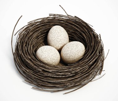 Kuş yuvasında üç kuş yumurtası. 3B illüstrasyon.