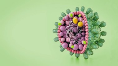 Structural detail of Hepatitis B virus isolated on green background. 3D illustration. clipart