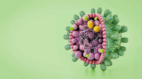 Strukturel Detalje Hepatitis Virus Isoleret Grøn Baggrund Illustration - Stock-foto