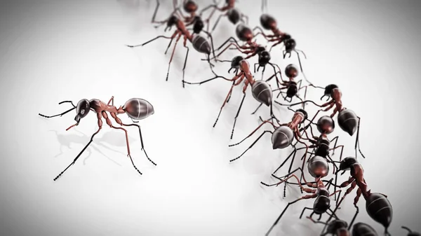3D illustration of walking ants. Top view. 3D illustration.