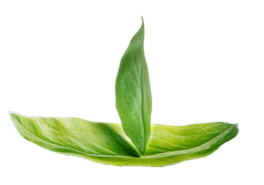 Yeşil deniz seviyesinin üzerinde yüzen bir gemi şekillendirme bırakır. 3D çizim.