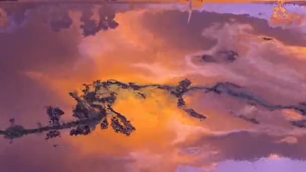 カラフルな奇妙な抽象的なグランジの背景 サイケデリックモーフィング液体と泡 インク遷移 スマートフォンの壁紙やテーマ ミニマルでスタイリッシュな背景 塗料との化学反応 — ストック動画