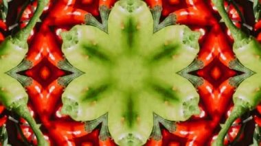 Görüntü stop motion animasyon grafik illüstrasyon mandala arkaplan geometrik kaleydoskop şekil soyut tam renk