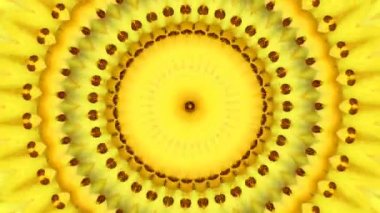 Görüntü stop motion animasyon grafik illüstrasyon mandala arkaplan geometrik kaleydoskop şekil soyut tam renk