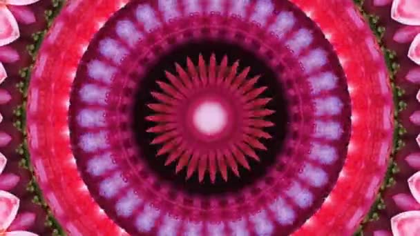 Images Animation Stop Motion Illustration Graphique Mandala Fond Géométrique Kaléidoscope — Video