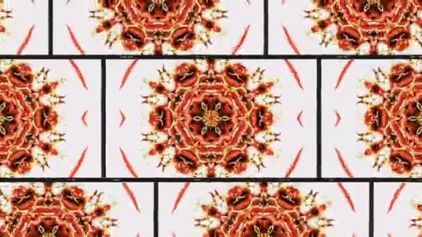 Troisième Oeil Gorge Chakra Ethnique Géométrie Sacrée Kaléidoscope Infinie Modèles — Video