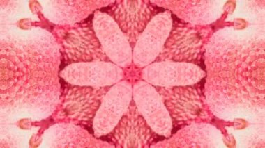 Soyut kaleydoskop arkaplanı. Güzel çok renkli kaleydoskop dokusu. Eşsiz kaleydoskop tasarımı.