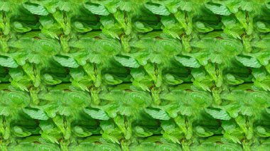 Soyut kaleydoskop arkaplanı. Güzel çok renkli kaleydoskop dokusu. Eşsiz kaleydoskop tasarımı.