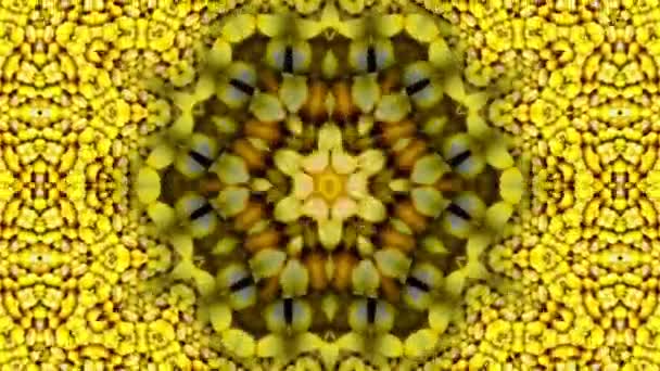 Imagini Stop Mișcare Animație Grafică Ilustrare Mandala Fundal Caleidoscop Geometric — Videoclip de stoc